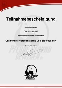 Carolin-Caprano-Kursabschluss-Test-Anatomie-und-Biomechanik-Onlinekurs-Pferdeanatomie-Pferde-gesund-bewegen